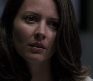 Person of Interest Amy Acker